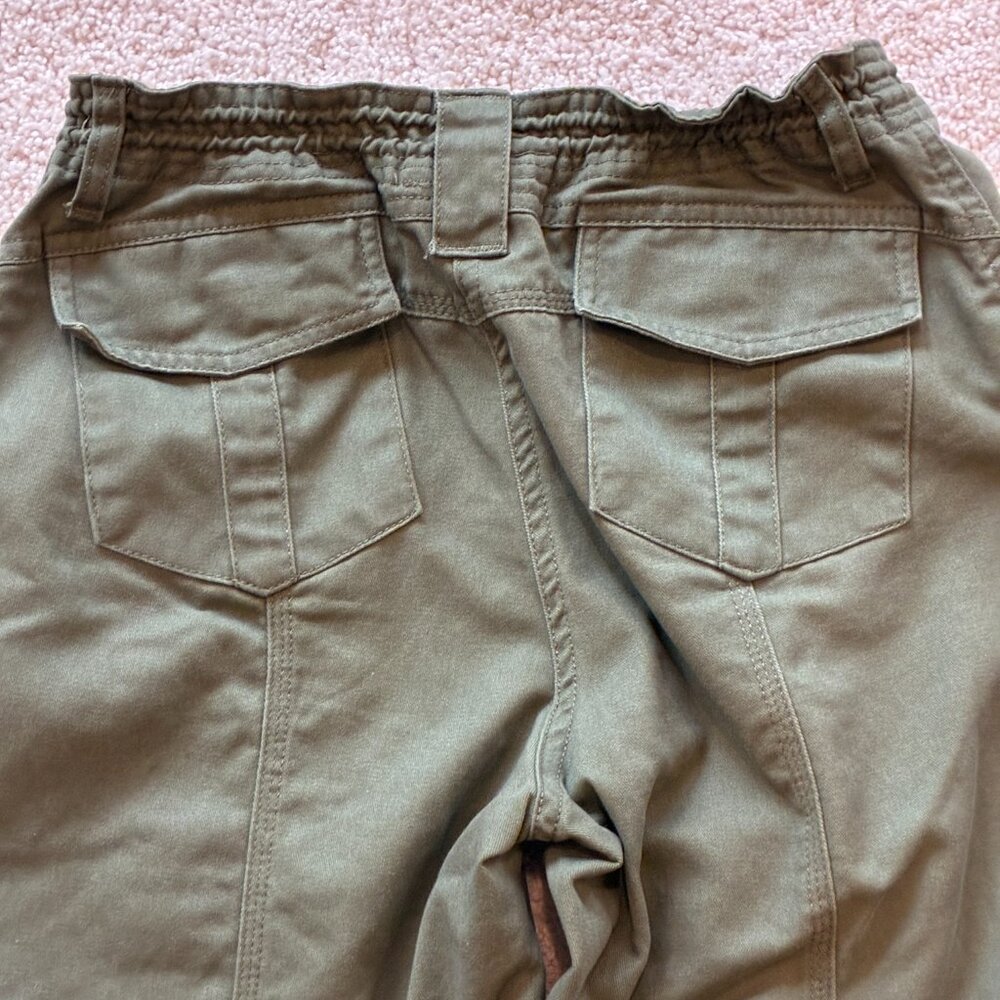 Pacsun John Galt Green Adjustable Waist Cargo Pants - Picture 8 of 12